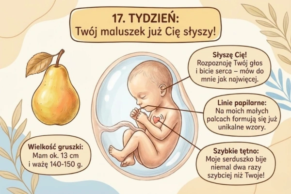 17 tydzień ciąży – rozwój dziecka